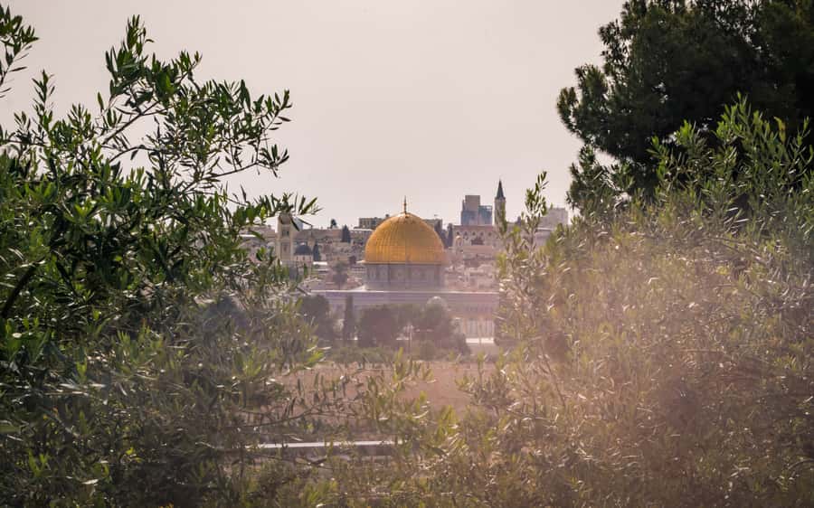 Jerusalem: Mount of Olives Guided Tour - A downhill route with one important catch