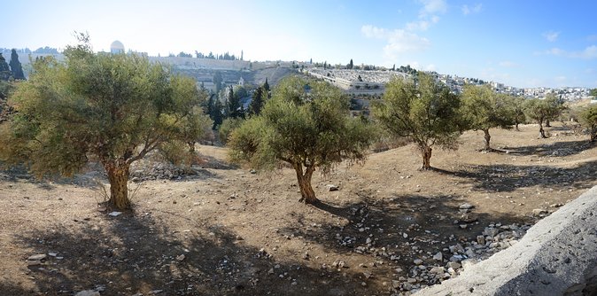 Jerusalem Old City from Tel Aviv - Christian Quarter, Via Dolorosa, and the Holy Sepulchre
