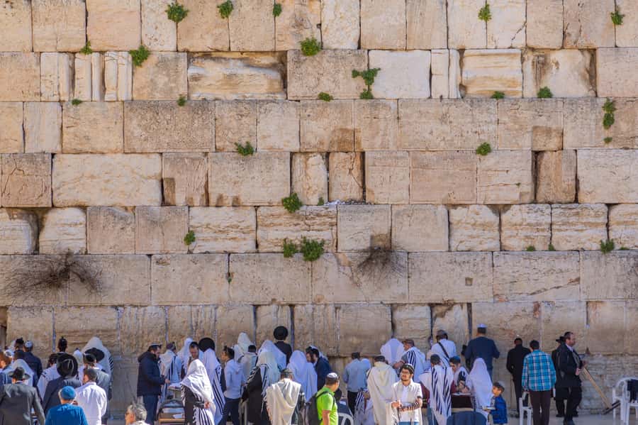 Jerusalem: Old City Morning Tour - Who Should Book This Old City Walk?