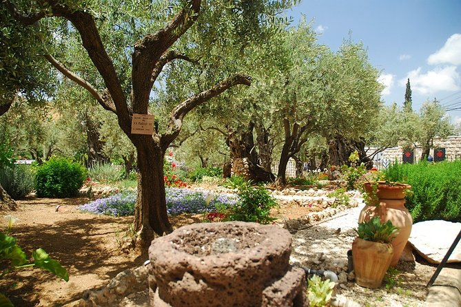 Jerusalem Old City & Mount Zion from Tel Aviv - Mount Scopus gives you the right opening view