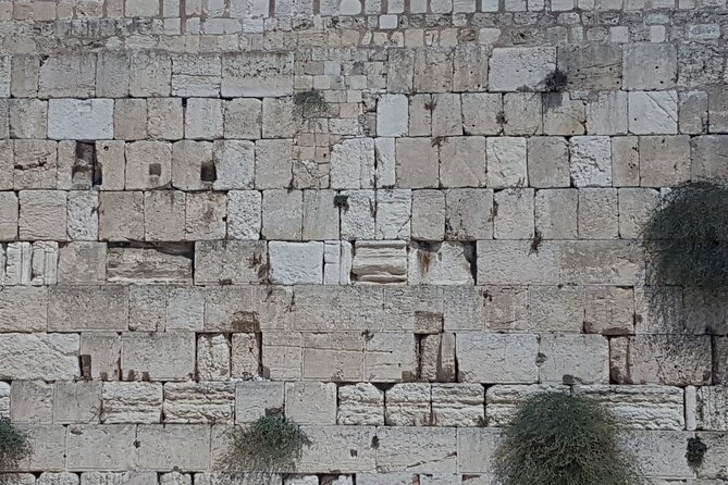 Jerusalem Private Full Day Tour - What the guide adds to the day