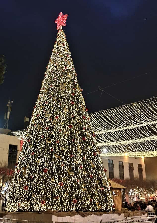 Jerusalem/Tel Aviv: Bethlehem and Jerusalem Private Tour - Who will get the most from this tour