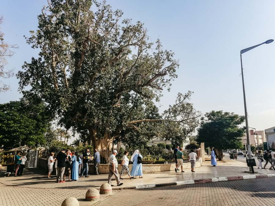 Jerusalem/Tel Aviv: Bethlehem, Jericho and Jordan River Tour - FAQ