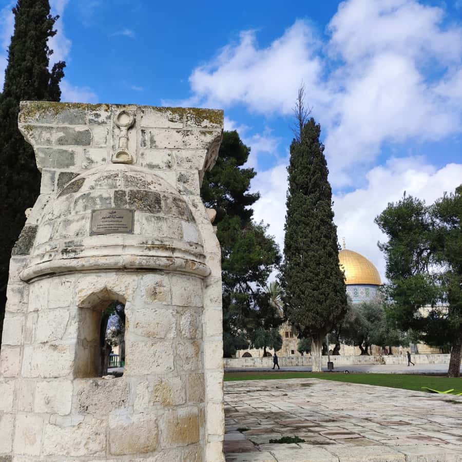 Jerusalem: Tour with Private Guide - Who should book this Jerusalem tour?