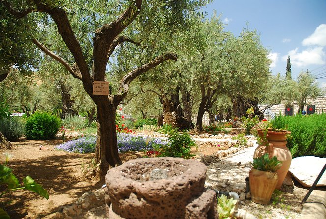 Jerusalem Walking Tour: In the Footsteps of Jesus - Bethesda Pool and St Anne’s Church