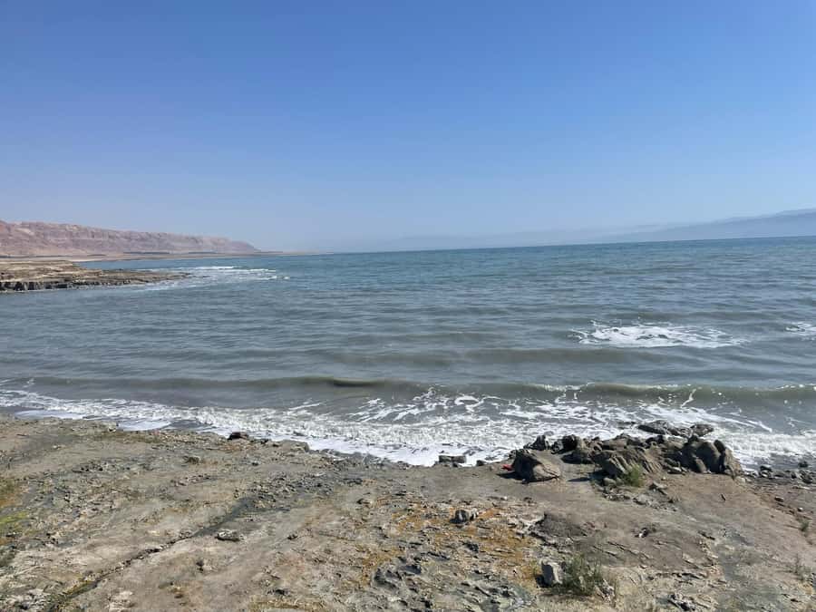 Masada Dead Sea: Small Group Tour from Tlv INCL. ENTRY FEES - Transport, group size, and guide quality