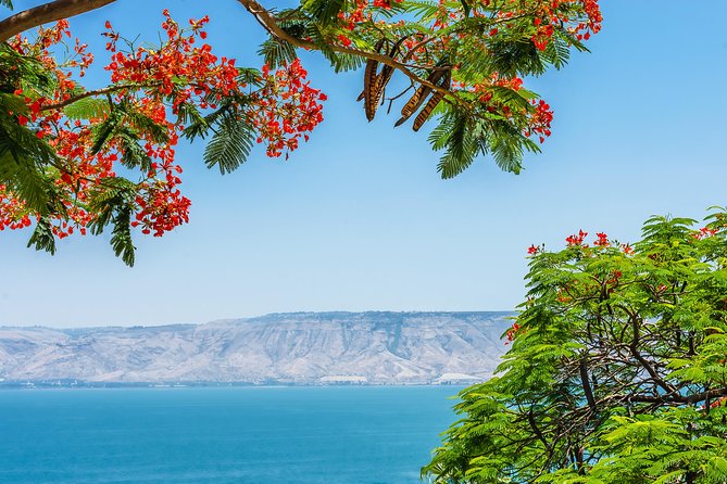 Nazareth and the Sea of Galilee Day Trip from Jerusalem - Why this day trip works from Jerusalem