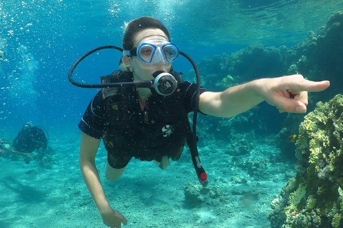 PADI Open Water Diver Course - 5 Days Scuba Diving - How the course has been received