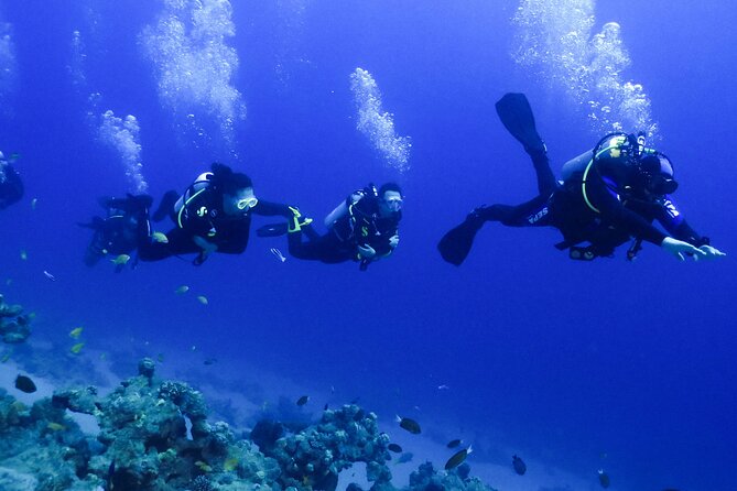 PADI Open Water Diver Course - 5 Days Scuba Diving - Booking, cancellation, and daily planning
