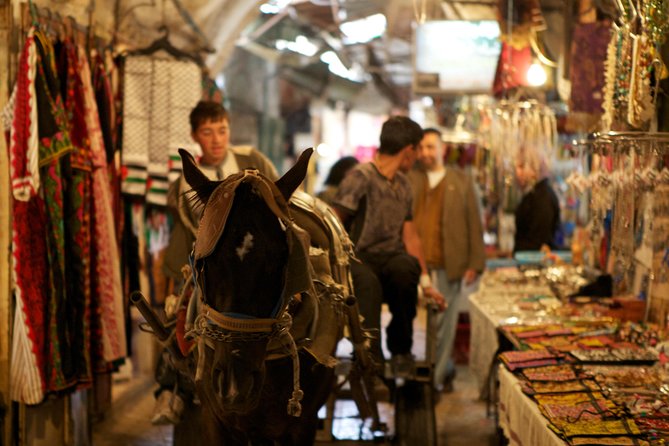 Palestine Revealed: 2-Day Private Tour from Jerusalem - Aida Camp and direct contact with local life