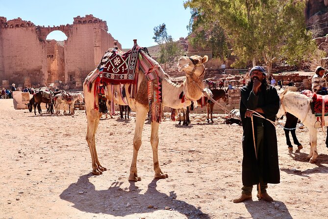 Petra 1-Day Tour from Tel Aviv with FREE Authentic Lunch - Is $299 a Fair Price for This Petra Day Trip?