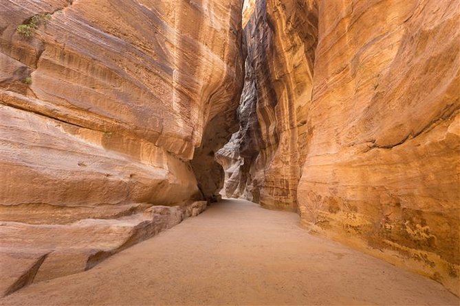 Petra and Wadi Rum 2 day Tour from Eilat - Group size, comfort, and family fit