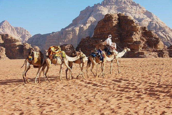 Petra & Wadi Rum 3 Days 2 Tour Nights from Eilat border - Who should book this Jordan trip?
