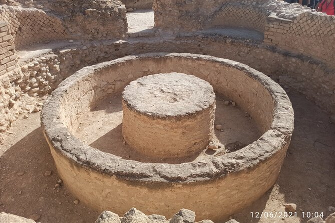 private Full-day Tour to Jericho + the Dead Sea - Zaccheus’ Tree, a brief biblical photo stop