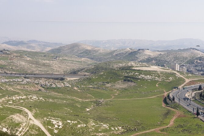 Private Israeli Wines Tour of the Central Israel - Three wineries, three different personalities