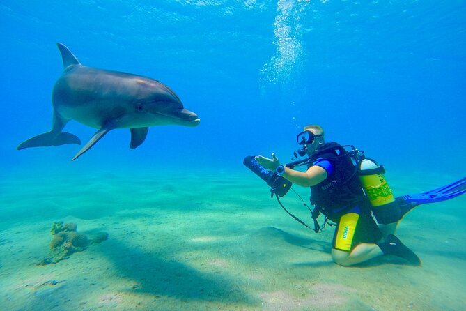 Private Scuba Diving Tour with Transportation and Guide - Exploring Navy shipwrecks below the surface