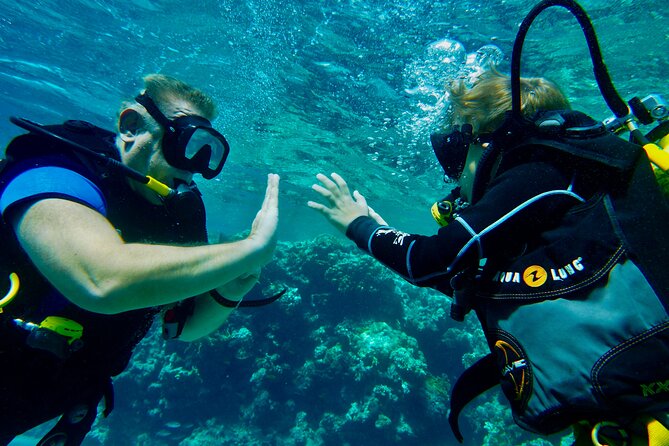 Private Scuba Diving Tour with Transportation and Guide - Why private transportation and a private guide matter