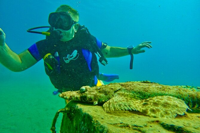 Private Scuba Diving Tour with Transportation and Guide - What is included for $220 per person