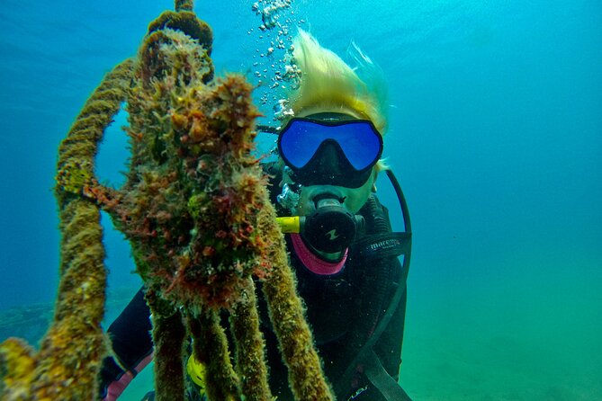 Private Scuba Diving Tour with Transportation and Guide - Who will get the most from this experience