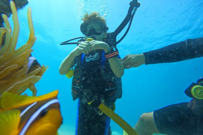 Private Scuba Diving Tour with Transportation and Guide - Timing, confirmation, and cancellation details