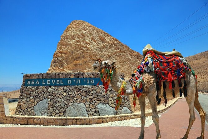 Private Tour: Masada and Dead Sea Day Trip from Jerusalem - Ein Gedi: a brief change of scenery
