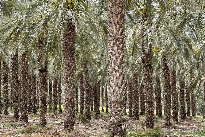 Private Tour to Nazareth & Sea of Galilee & Jordan River Yardenit - Exclusive - What the $280 price really covers