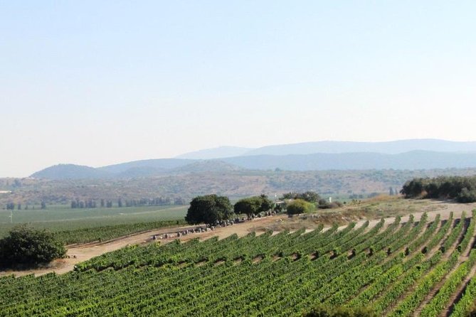 Private wine tour of Northern Israel - Key points at a glance