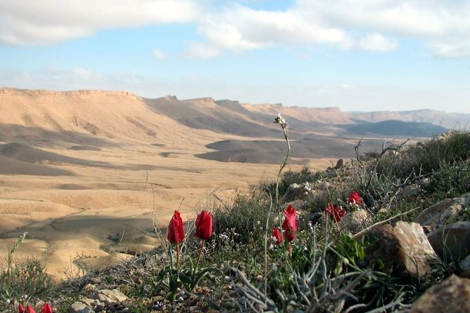 Ramon Crater Jeep Tour from Mitzpe Ramon - The Rehabilitated Quarry Adds a Human Footnote