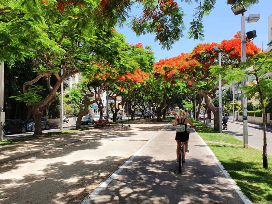 Tel Aviv 3-Hour Easy Bike Tour - Guides, photographs, and the human touch