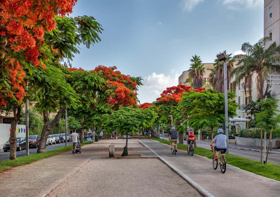 Tel Aviv: Carmel Market & Tel Aviv Tour with Tastings - A Four-Hour Walk Through Tel Aviv’s Early Story