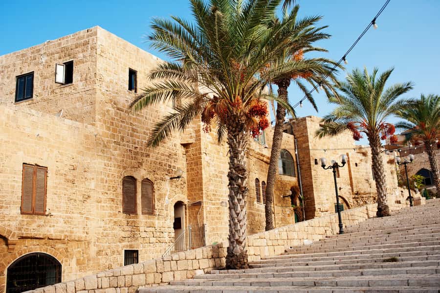 Tel Aviv: Jaffa Half-Day Walking Tour - The old port is the tour’s best photo stop