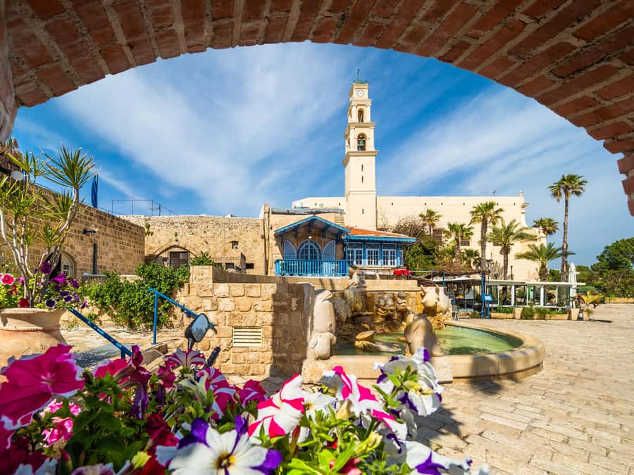 Tel Aviv: Jaffa Half-Day Walking Tour - Who should book this Jaffa walk?