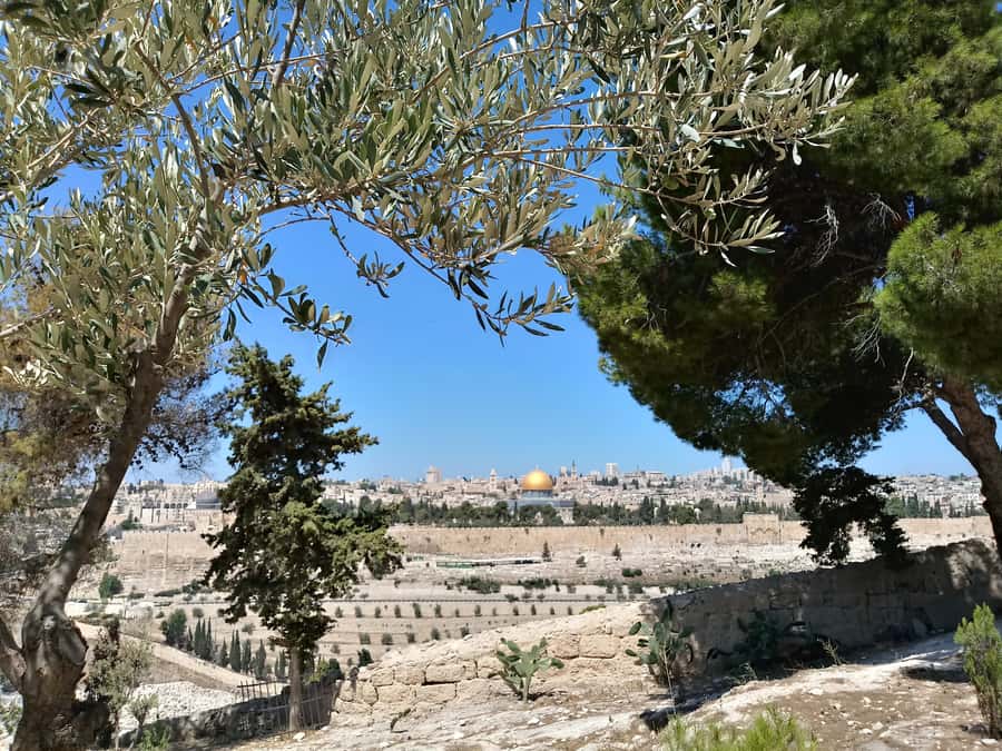 Tel Aviv: Jerusalem, Bethlehem & Dead Sea - Final verdict: a strong first look, not a leisurely tour