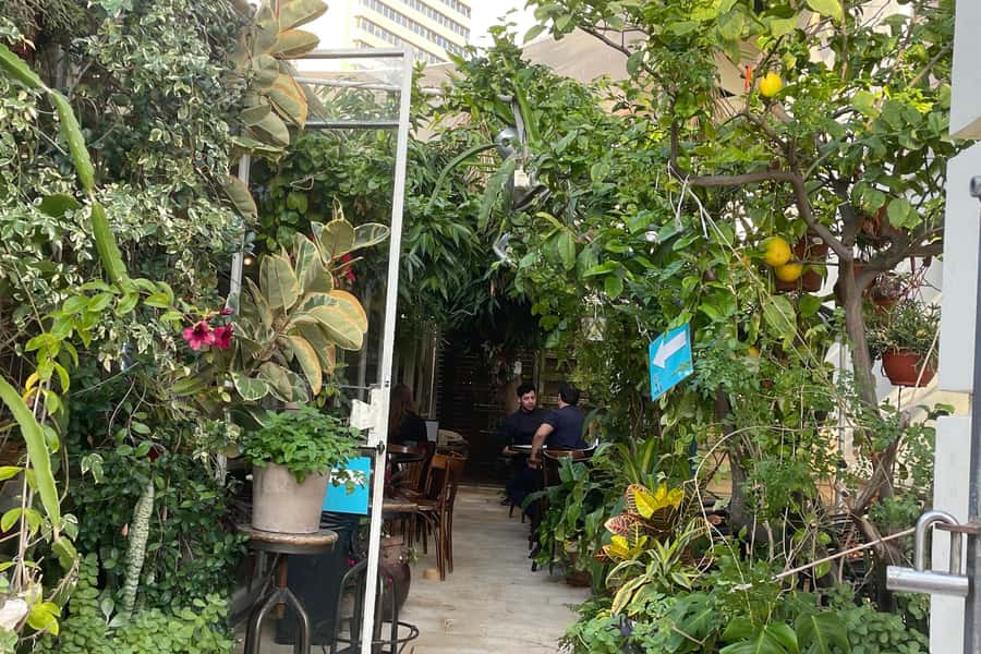 Tel Aviv: Neve Tzedek Cultural Walking Tour - Who will enjoy this walk most?