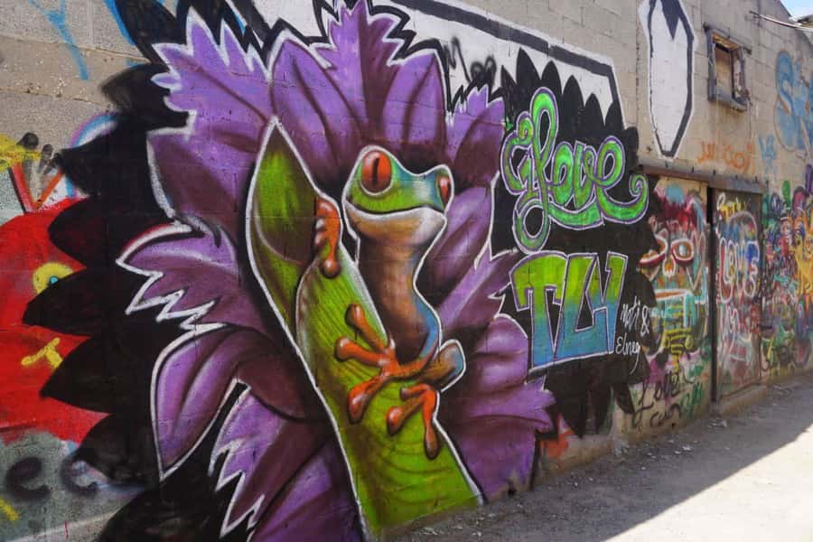 Tel Aviv: Street Art and Graffiti Tour - Key points to know before you book