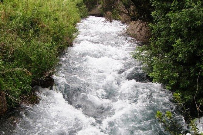 Tel Dan and Baniyas National Parks Private Tour - The private SUV changes the value