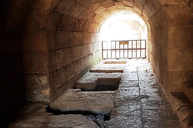 Tel Dan and Baniyas National Parks Private Tour - What the praise about the guide means for you
